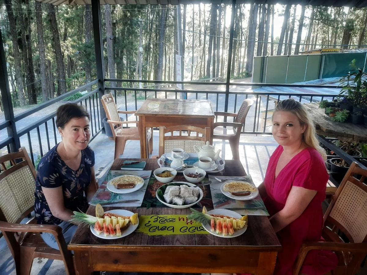 Pine Trees Homestay 날라탄니야 외부 사진