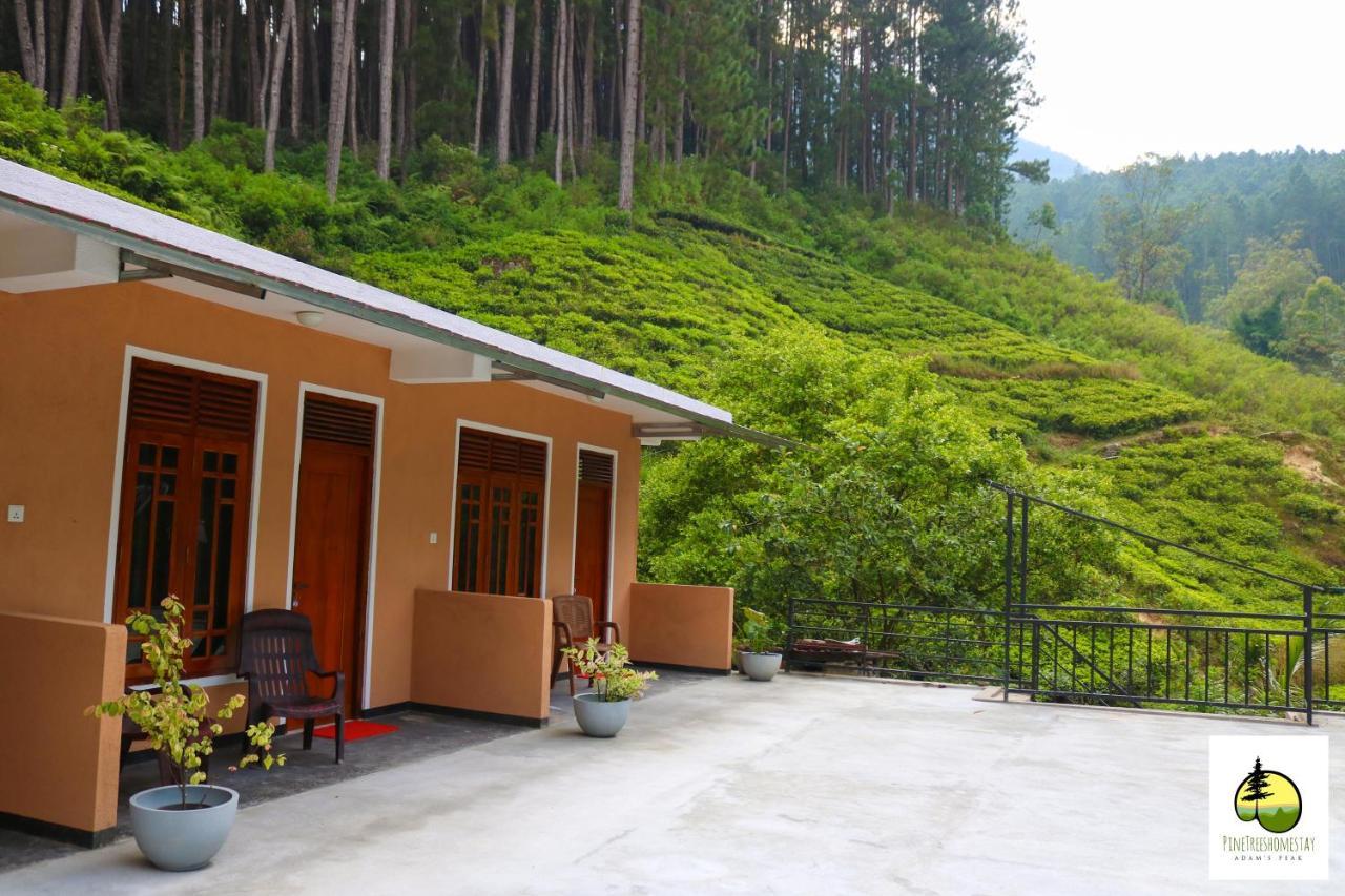 Pine Trees Homestay 날라탄니야 외부 사진