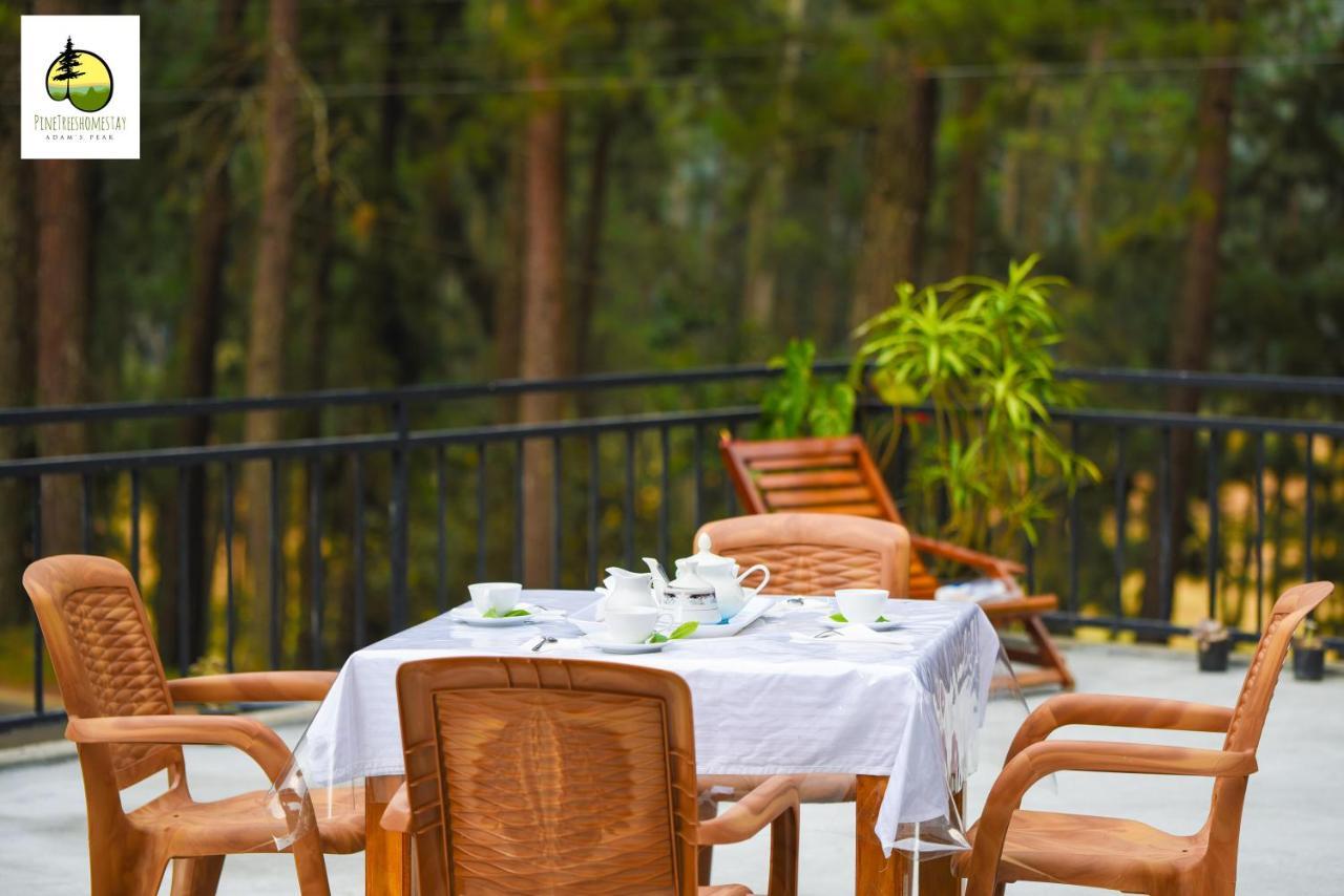 Pine Trees Homestay 날라탄니야 외부 사진