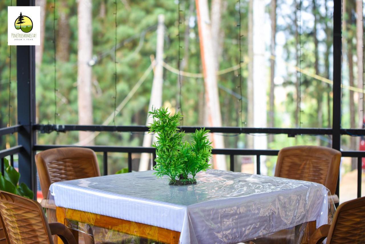 Pine Trees Homestay 날라탄니야 외부 사진