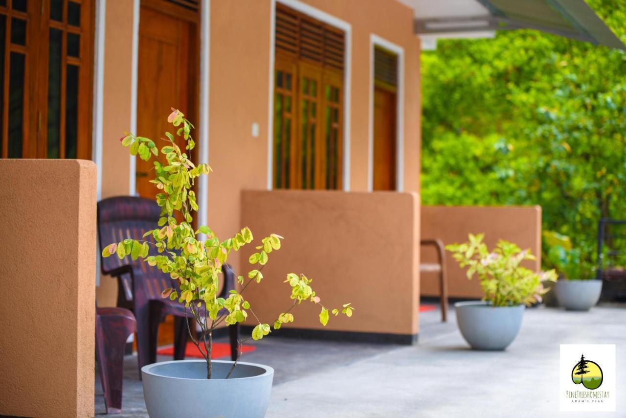 Pine Trees Homestay 날라탄니야 외부 사진