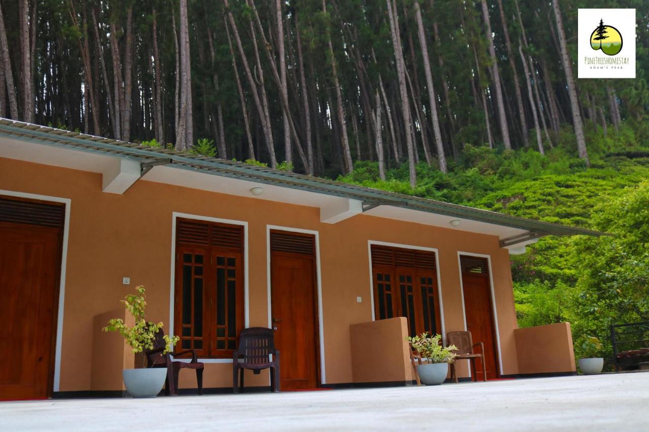 Pine Trees Homestay 날라탄니야 외부 사진