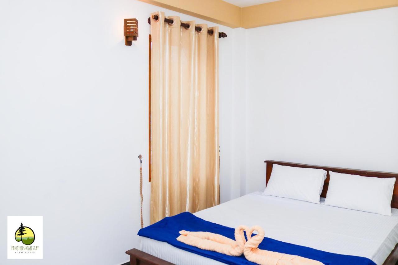 Pine Trees Homestay 날라탄니야 외부 사진