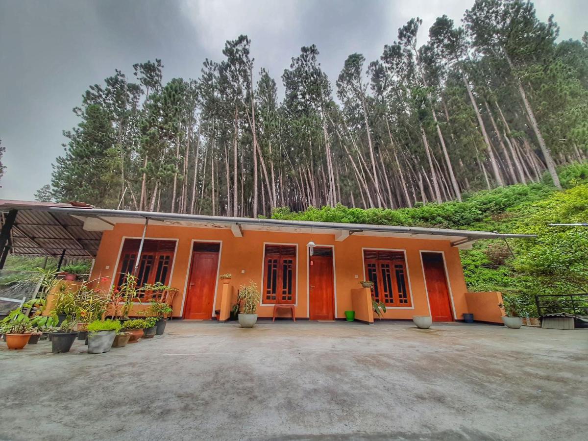 Pine Trees Homestay 날라탄니야 외부 사진