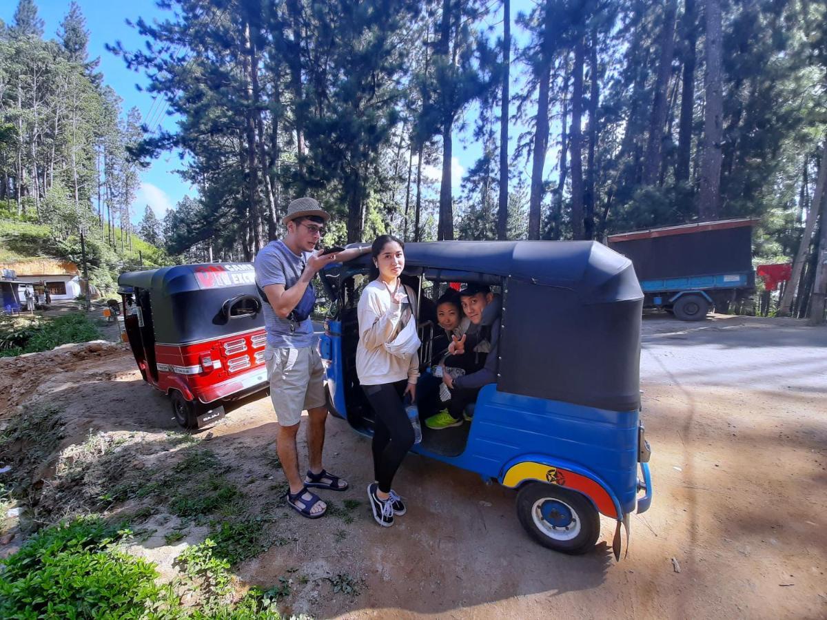 Pine Trees Homestay 날라탄니야 외부 사진